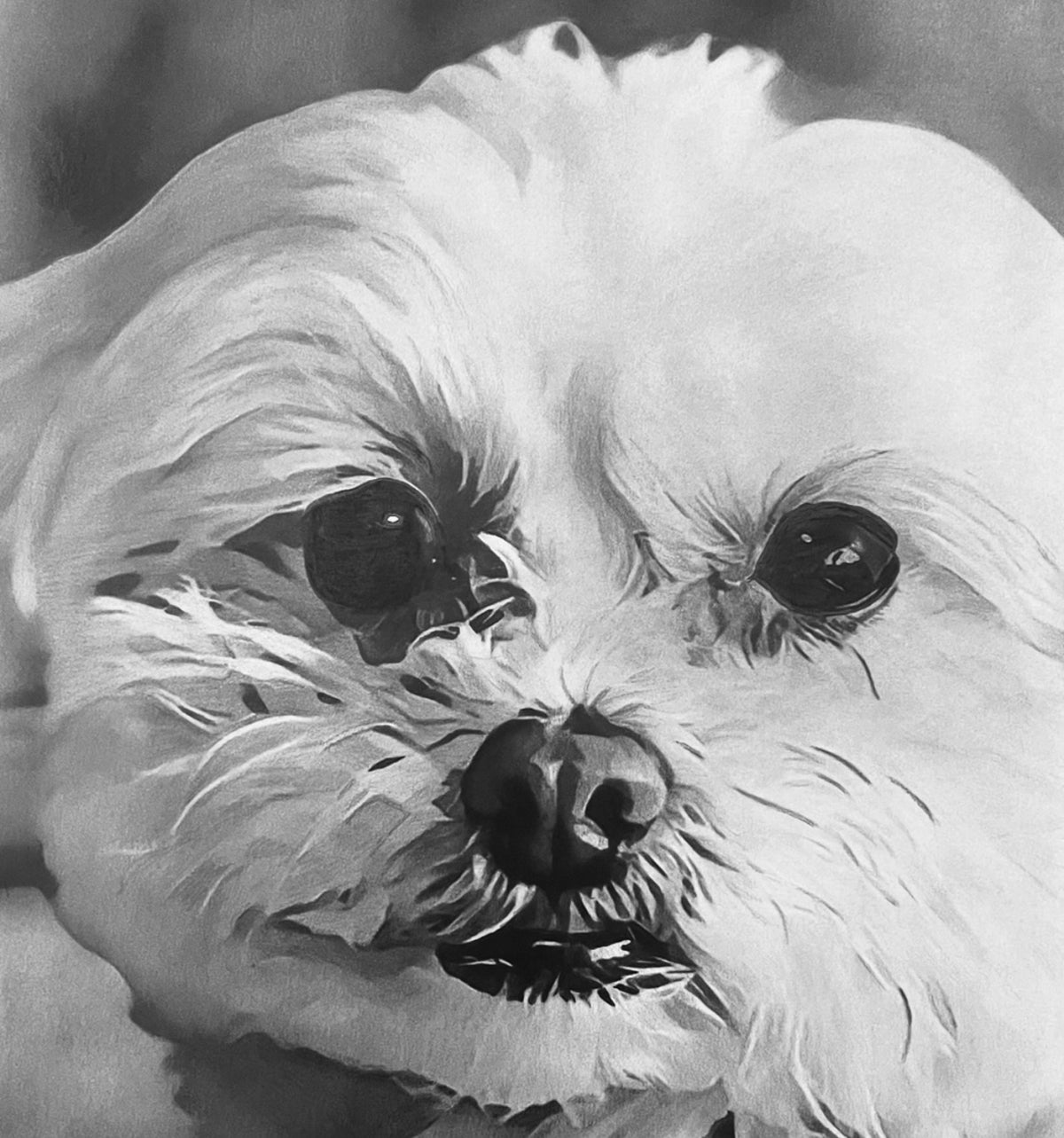 Seth Jennemann Art Dog Drawing - Suki Lizzie Jennemann - The Hand That Feeds